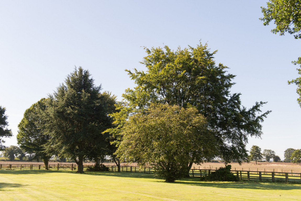 Rural Property For Sale Near Northallerton Low Sober Farm